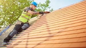 Best Roof Moss and Algae Removal  in Sherwood, OH
