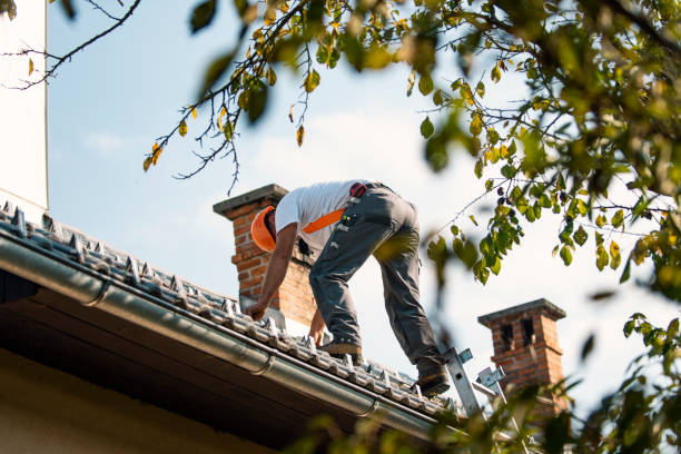 Best Hot Roofs  in Sherwood, OH