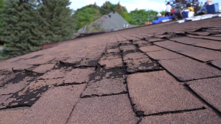 Best Slate Roofing  in Sherwood, OH